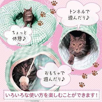 猫 Amazon.co.jp: 猫もぐらたたきBOX 爪とぎ付 猫じゃらし付 多機能